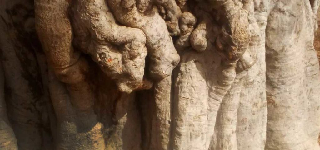 Der neue Brunnen ist geschafft