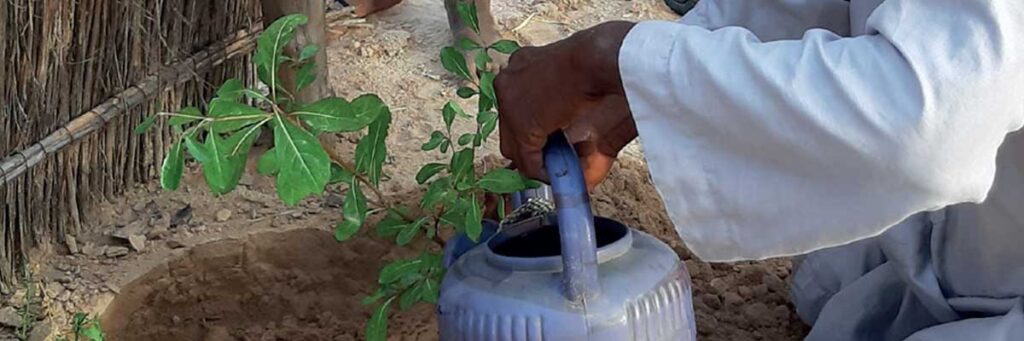 Eine wunderbare Geschenkidee!